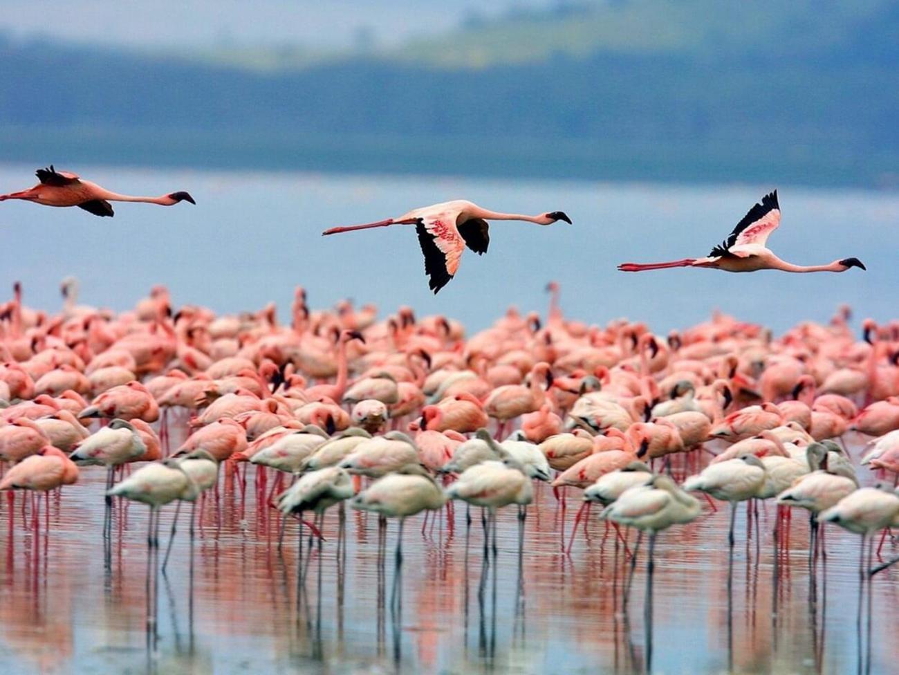 Casa Natura Levante Beach Santa Pola Dış mekan fotoğraf
